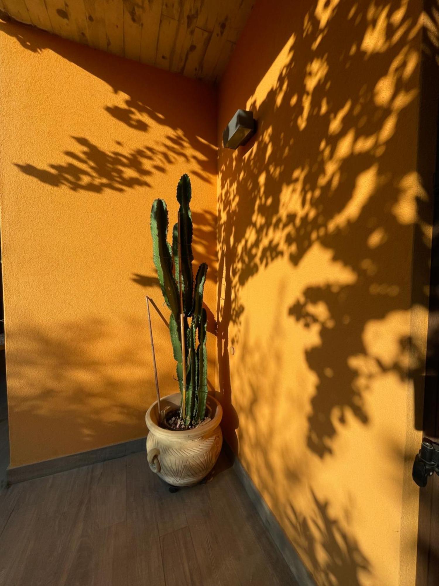 Welcome Traveller Divine Cecile Garda (Verona) Exterior foto